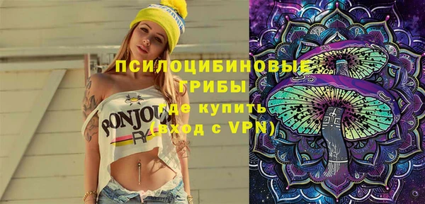 apvp Елизово