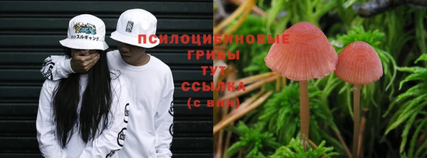 мет Ельня