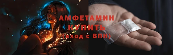 мет Ельня