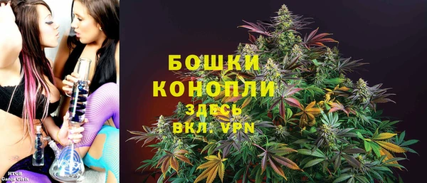 мет Ельня