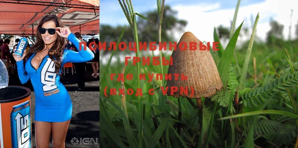apvp Елизово
