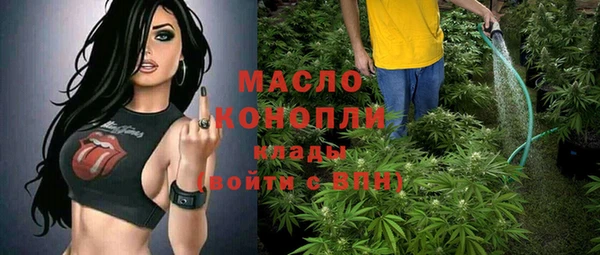 мет Ельня
