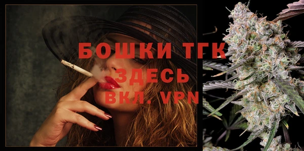 мет Ельня