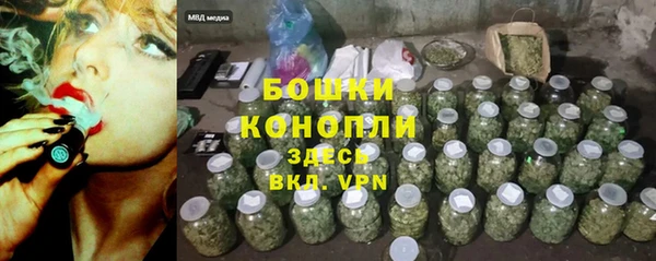 мет Ельня