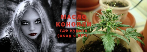 мет Ельня