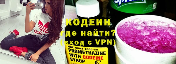 мет Ельня