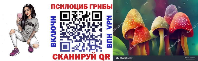 закладки  Приволжский  Псилоцибиновые грибы MAGIC MUSHROOMS 